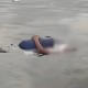 冲浪遭鲨鱼袭击身亡,冲浪遭鲨鱼袭击身亡视频