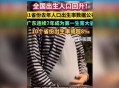 31省出生人口数据,31省2021年人口数据出炉？