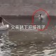 男孩体育考试后离世,游泳馆无证经营遭成员溺亡上级主管部门应如何赔偿？