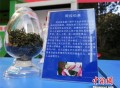 茶关联毒品是污蔑,重案六组5里的妖精是谁？