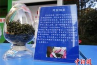 茶关联毒品是污蔑,重案六组5里的妖精是谁？