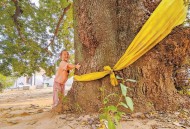 主播瞒收入超1500万,菏泽一残疾男孩打篮球成网红，还瞒父母开起了直播, 你怎么看？