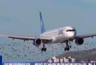 波音737客机险坠毁,为什么波音737飞机坠落能扎入地下20米？触地瞬间的能量有多少？