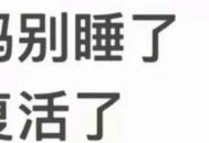 写作业睡着被扇巴掌,晚上睡不着应该起来写作业还是躺着等睡着(求学生党回答) 别回答什么睡觉的方法？