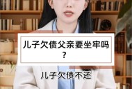 儿子追债老赖10年,父母欠债失踪可以找儿女吗？