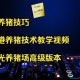 养猪场少了20头猪,阳光养猪场打工挣金币怎么一下少了很多？原来90分钟给780个金币，现在是620个？