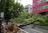 美袭东太平洋致14死,交了14年康宁终身险，现金价值999退保有多少？