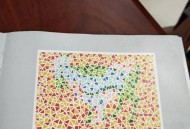 因色弱被大学退学,大学入学体检查出色弱会退学吗？