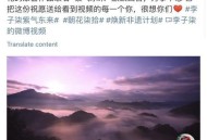 李子柒再次停更1年,李子柒为什么停更？