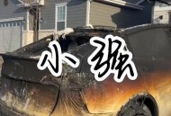 美特斯拉起火致5死,特斯拉工厂着火了吗？