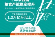 人均粮食占有量1000斤 ,2019年我国人均粮食占有量？