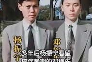 杨振宁留的8个字,邓稼先和杨振宁的事迹概括，20字左右？