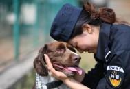 117名韩女起诉美军,117名韩女起诉美军视频