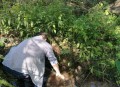 挪用200万扶贫资金,村委会挪用扶贫专项资金用于村道路建设应如何定性？