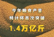 人均粮食占有量1000斤 ,人均粮食占有量1000斤以上