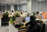 在假装上班公司上班,在假装上班公司上班是什么体验