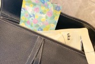 日本安检员偷钱被捕,日本安检酵素能带上飞机吗？