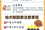 狗走失挣脱铁链回家,狗走失挣脱铁链回家的故事