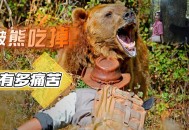 日本人开始吃熊肉,这个熊叫什么名字？