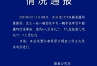 遭卡车压断20根肋骨,68岁老人走路上被货车撞到断了3根肋骨，该怎么索赔？