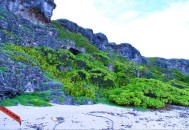 无人岛现巨大垃圾坑,垃圾无人清理该向哪个部门投诉？