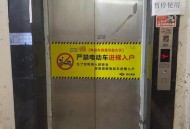 保姆电梯内摔死小狗,家里房子装了保姆电梯、观光电梯、主人电梯会是种怎样的体验？