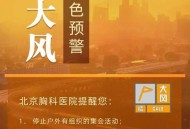 北京将迎降雪大风,北京未来15天有降雪吗？