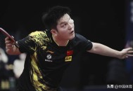 樊振东入美职业联赛,樊振东马龙比赛观后感？