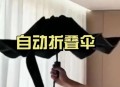 小米车主定制伞169元,小米雨伞拆解？