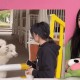 男子街头遛猪引围观,有一首歌的歌词里有一句是别人遛狗我遛猪是什么？