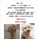 狗狗靠捡瓶存款过万,一只狗捡了一块狗头金什么电影？