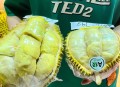 榴莲降至15元一斤,榴莲降至15元一斤是真的吗