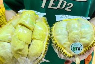 榴莲降至15元一斤,榴莲降至15元一斤是真的吗