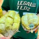 榴莲降至15元一斤,榴莲降至15元一斤是真的吗