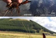 钓鱼被当猎物枪击,美国暴乱之际，对于入侵家里的暴乱分子，房主有权利开枪杀人吗？