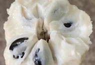 新鲜的荔枝长这样,新鲜荔枝是透明还是白色？