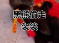 熊披袈裟站立被质疑,黑风怪出身来历？