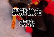 熊披袈裟站立被质疑,黑风怪出身来历？