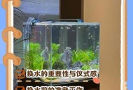 买观赏鱼收到1袋水,观赏鱼在充氧袋里能活多长时间？