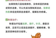 宠物店店员暴力摔狗,你怎么看待何兴丽摔狗事件？