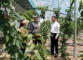 发局长舆情免职被拘,局长发布