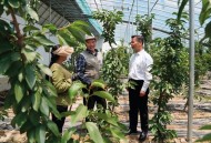 发局长舆情免职被拘,局长发布