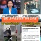 设假大使馆诈骗被抓,设假大使馆诈骗被抓怎么处理
