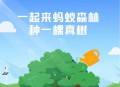 马云现身蚂蚁森林,马云为什么建造蚂蚁森林？