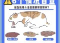 猫在超市米中排泄,带猫咪出门怎么解决排泄问题？