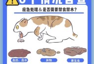 猫在超市米中排泄,带猫咪出门怎么解决排泄问题？