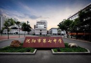 南京放飞3千羽和平鸽,沈阳南京三校属于几流？