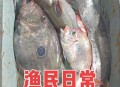 渔民被海鲜刺伤身亡,渔民生吃海鲜有寄生虫吗？