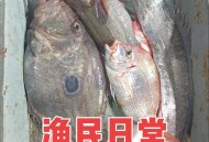 渔民被海鲜刺伤身亡,渔民生吃海鲜有寄生虫吗？