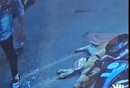 将狗摔死男子被行拘,男子把狗摔死